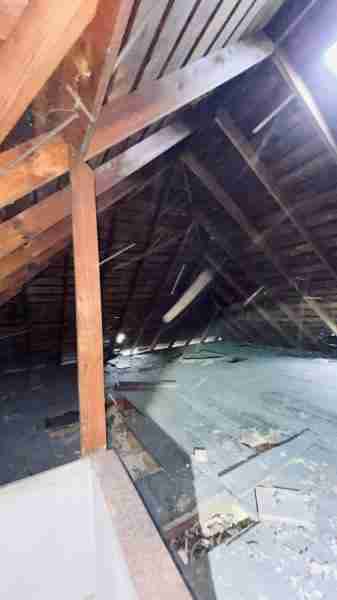 4519267_0031 (2).jpg